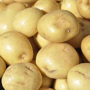 Potatoes - Yukon Gold
