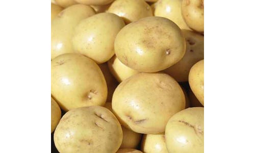 Potatoes - Yukon Gold